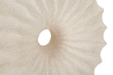 Lampada Da Tavolo Anemone 22X16X40cm - Ferretti