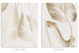 Pannello Tenda con Fascia Copri Bastone Cipro Maè 145x290 cm - Via Roma 60
