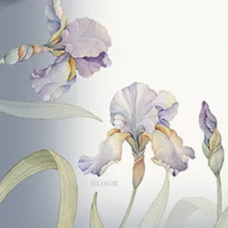 Centrotavola LILY - Randi