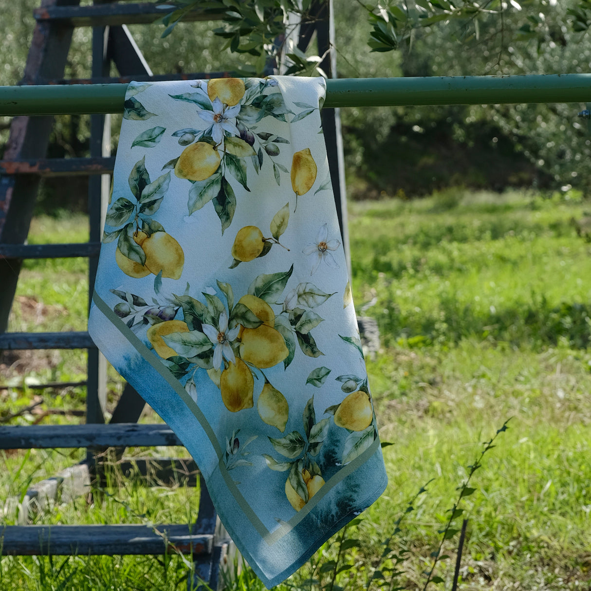 Strofinaccio mediterraneo Petracchi 50x70 cm in Cotone Made in Italy Asciughino Cucina