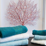 Set Asciugamani 3+3 Cristin - Neìth