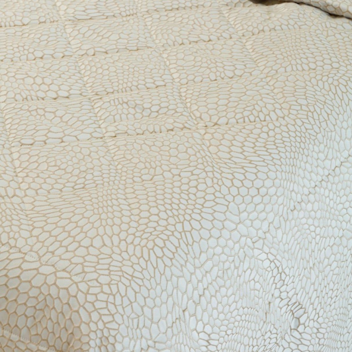 Trapuntino Bao - Battaglia