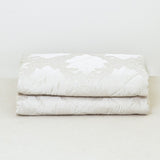 Trapuntino Pervinca - Battaglia